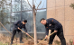 【能源使命】tqb谈球吧： 弘扬志愿服务，齐建绿色城市   